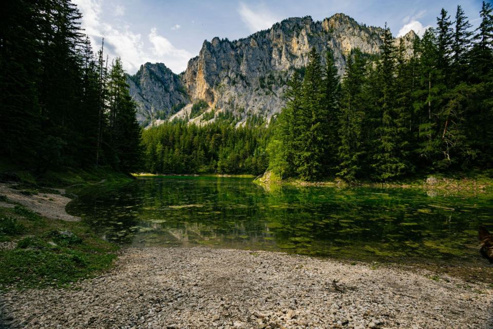 Steiermark